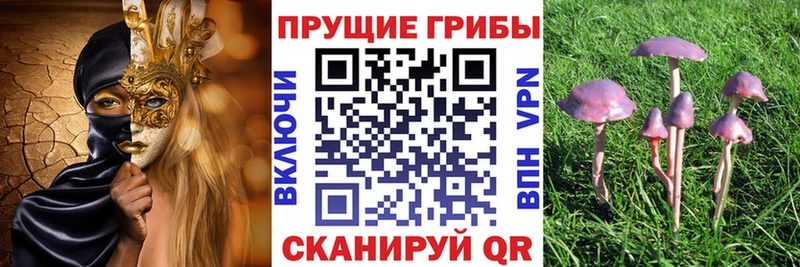 Галлюциногенные грибы MAGIC MUSHROOMS  Нурлат 
